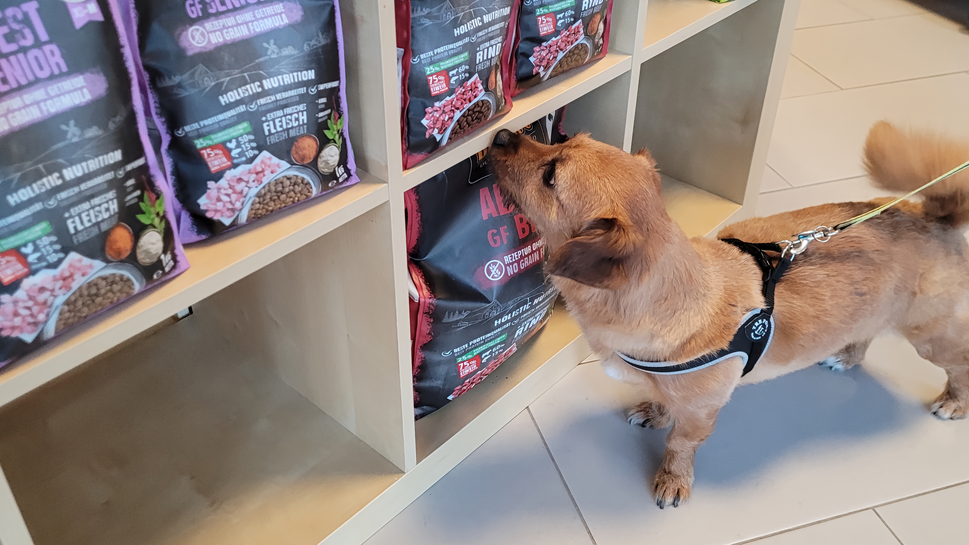 Ein kleiner Gast sucht sich sein Hundefutter aus
